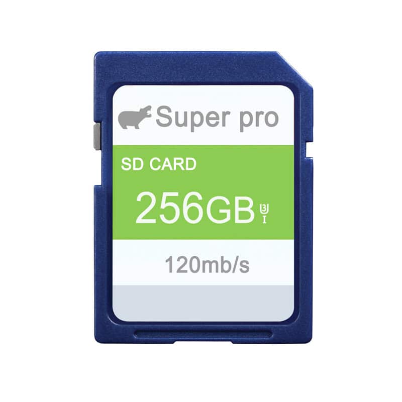 256GB SDXC Card