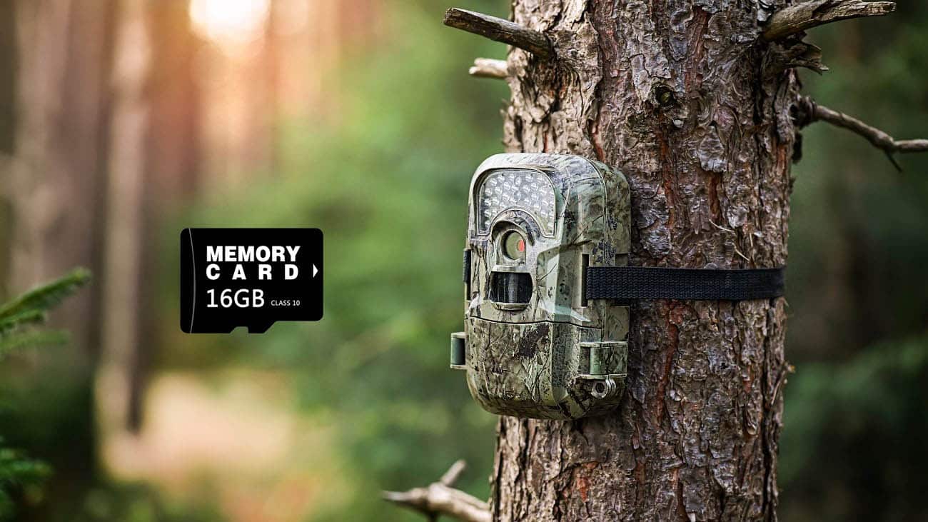 Trail Camera micro sd cards